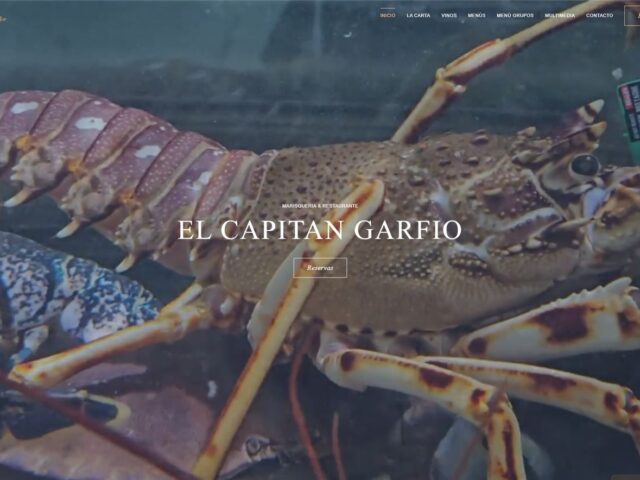 Página web de El Capitán Garfio — diseño web de aColor