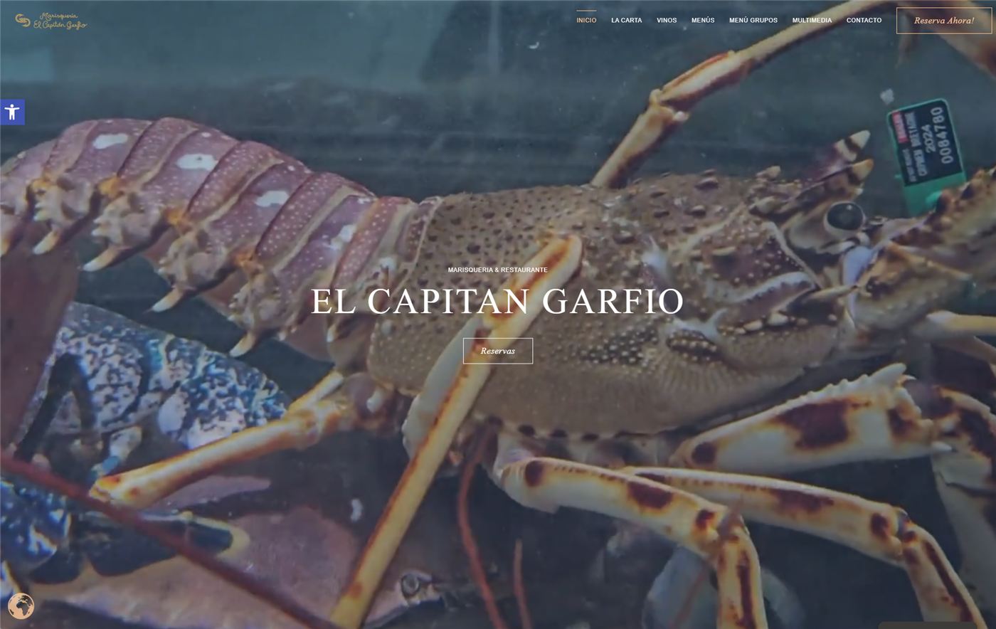 Página web de El Capitán Garfio — diseño web de aColor