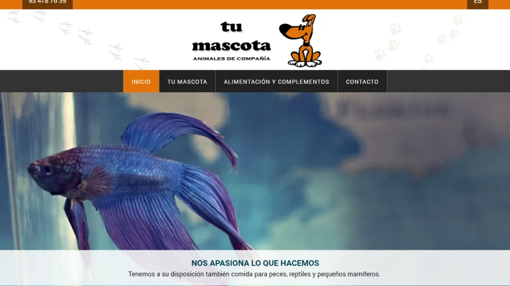 Página web de Tu Mascota — diseño web de aColor